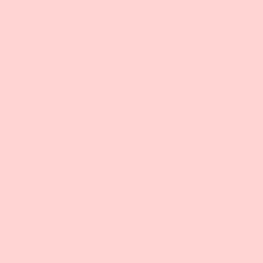 Pink Seashell 2009-60