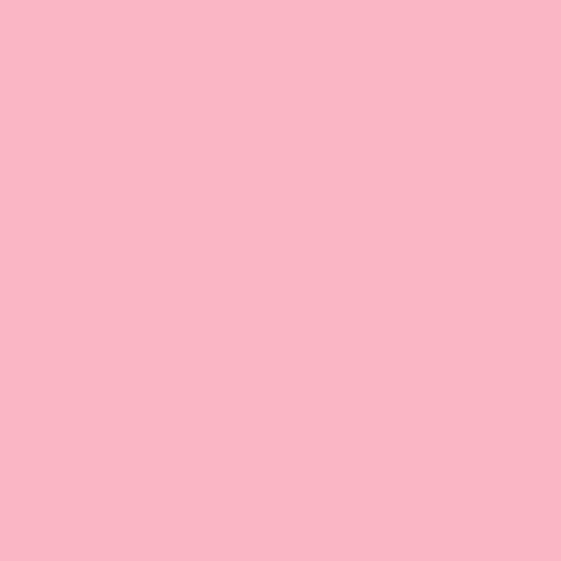 1325 Pure Pink - Paint Colour